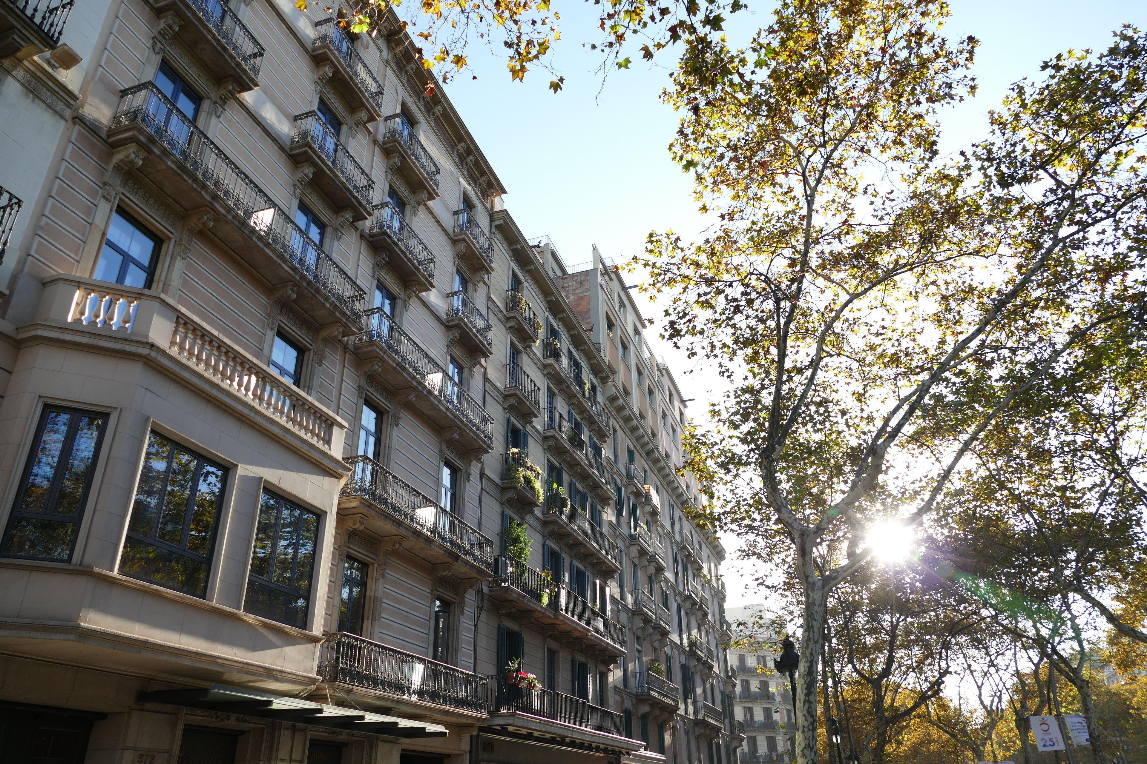 Petit Palace Eixample — Fotók 2